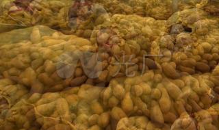 山东最大蔬菜批发市场 山东蔬菜批发市场